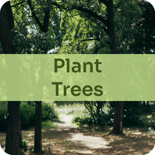 Plant trees